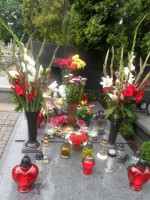 /album/fotogalerie-fotogalerie-varsava-26-7-2015/sam-2579-jpg/