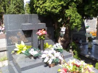 /album/fotogalerie-fotogalery-anna-jantar-7-2016/img-20160724-111401-jpg/