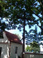 /album/fotogalerie-fotogalery-anna-jantar-7-2016/img-20160724-114415-jpg/