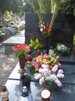 /album/fotogalerie-fotogalery-anna-jantar-7-2016/img-20160726-160737-jpg/