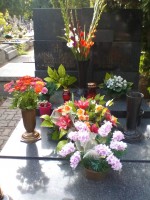 /album/fotogalerie-fotogalery-anna-jantar-7-2016/img-20160726-162623-jpg/