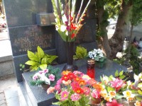 /album/fotogalerie-fotogalery-anna-jantar-7-2016/img-20160726-162701-jpg/