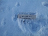 /album/fotogalerie-1-sobota2017/img-20170107-144537-jpg/