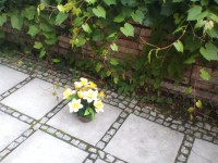 /album/fotogalerie-svatek-anny-2017/img-20170726-155714-jpg/